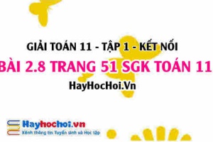 Giải bài 2.8 trang 51 Toán 11 tập 1 SGK Kết nối tri thức
